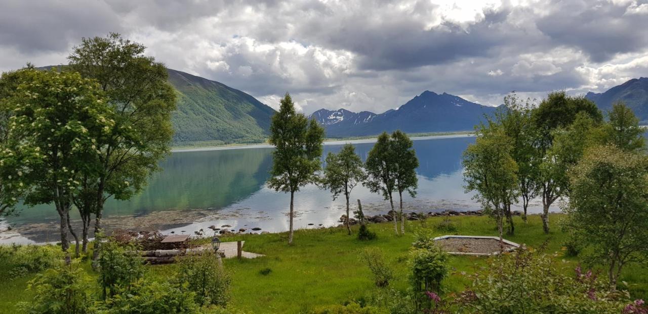 Lykkebo, Skjoldehamnveien 1151, Nygard, Andoy Risoyhamn Exterior foto