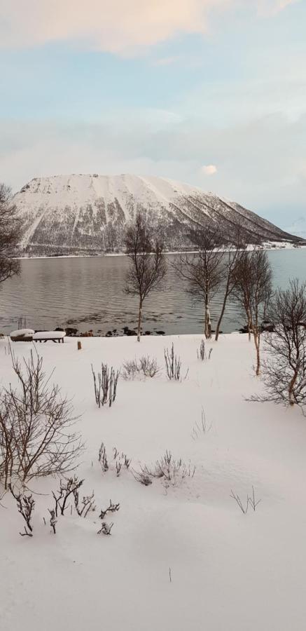 Lykkebo, Skjoldehamnveien 1151, Nygard, Andoy Risoyhamn Exterior foto