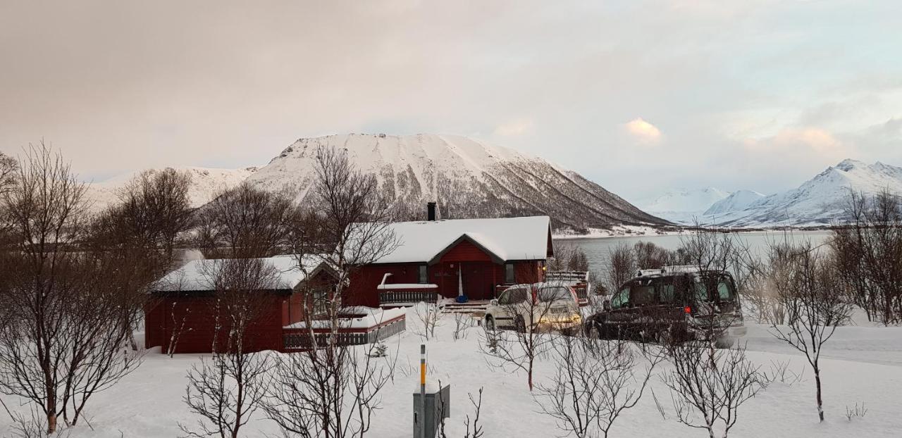 Lykkebo, Skjoldehamnveien 1151, Nygard, Andoy Risoyhamn Exterior foto