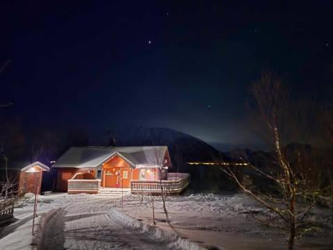 Lykkebo, Skjoldehamnveien 1151, Nygard, Andoy Risoyhamn Exterior foto